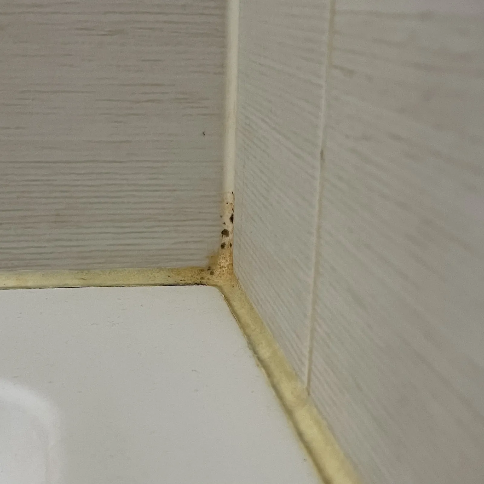 Wymiana starego silikonu PRZED